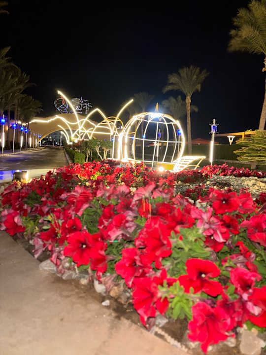 Außenansicht Ali Baba Palace Resort