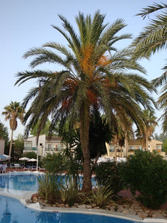 Schöner Pool Garden Saladina