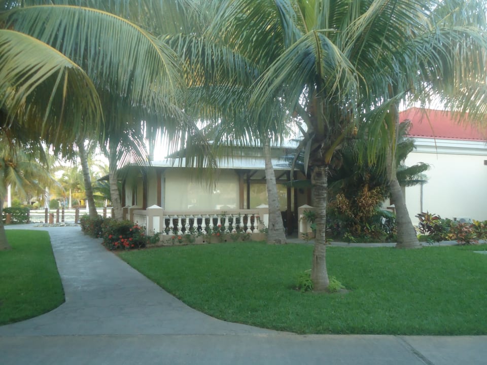 Italiener Iberostar Origin Playa Alameda