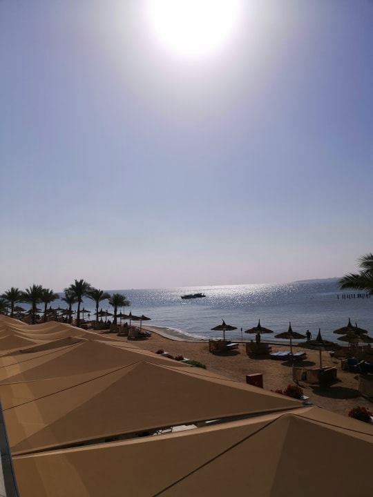 Ausblick Beach Albatros Resort