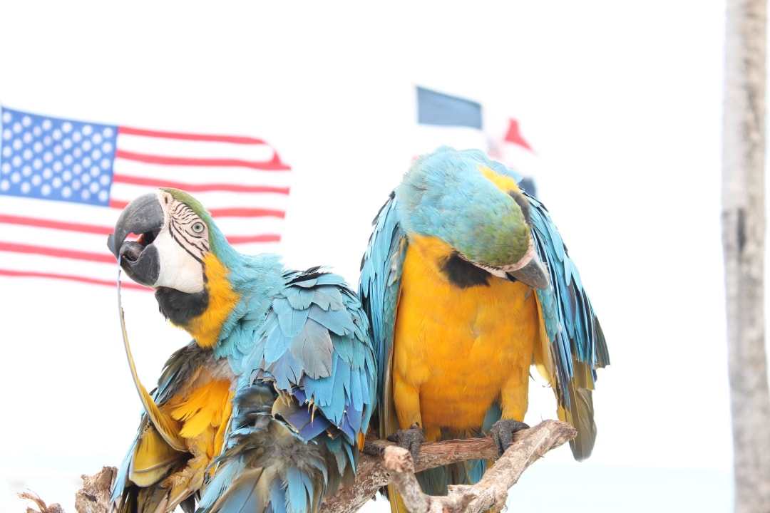 Strandbesuch Hotel Grand Palladium Palace Resort, Spa & Casino