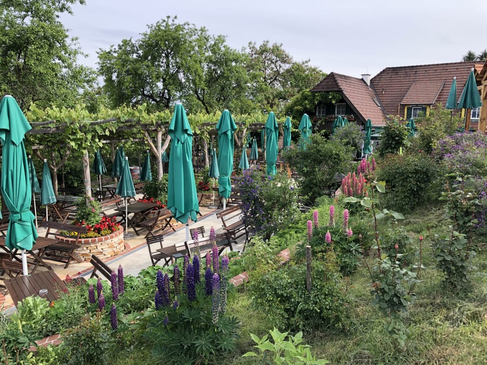 Gartenanlage Gästehaus Schneiderannerl