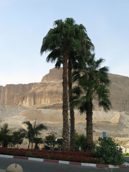 Вид из отеля Royal Hotel Dead Sea