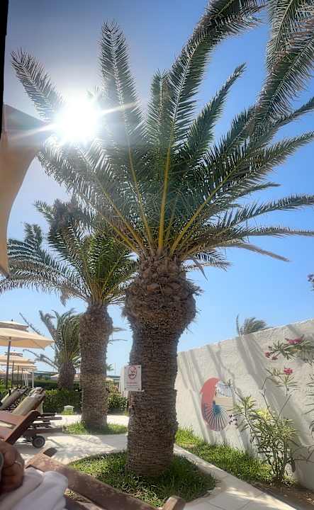 Pool ROBINSON DJERBA BAHIYA