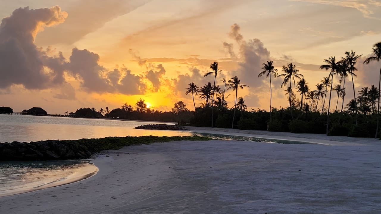 Ausblick TUI BLUE Olhuveli Romance