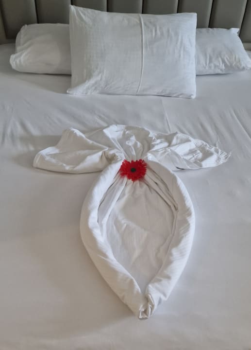 Zimmer Seaden Sea World Resort & Spa