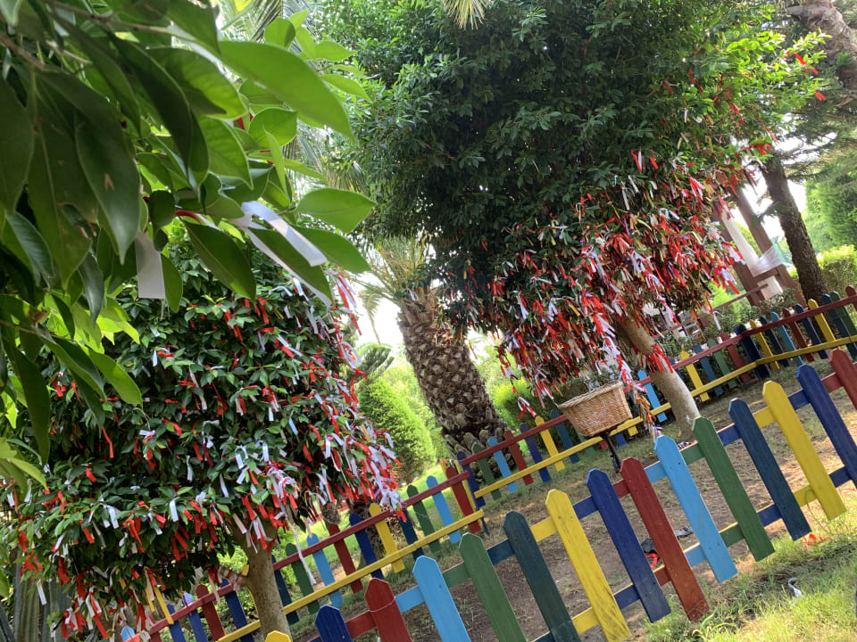 Gartenanlage Hotel Delphin Diva