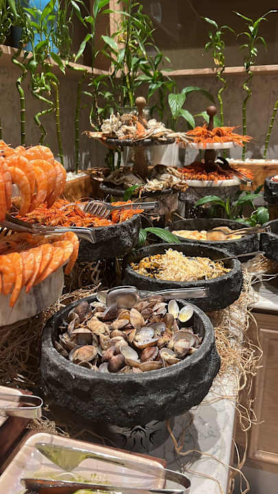 Gastro Acanthus Cennet Barut Collection