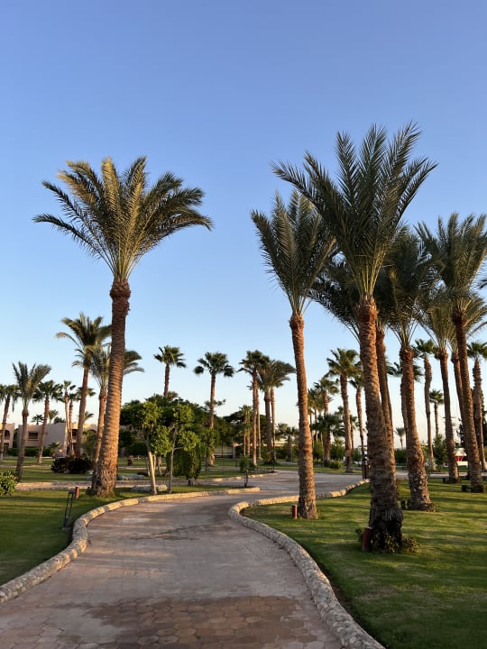 Gartenanlage Continental Hotel Hurghada
