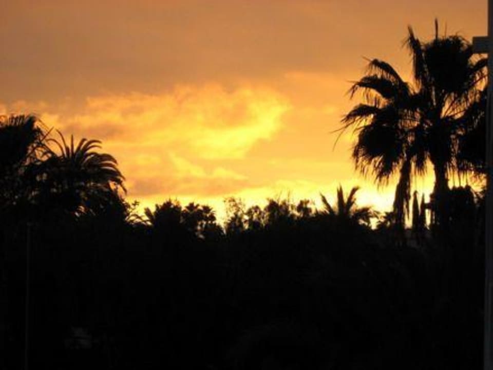 Ifa Beach Corallium Beach by Lopesan Hotels - Adults only