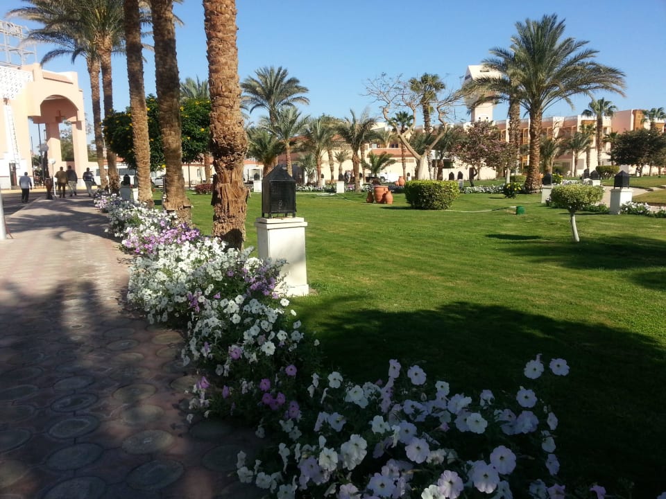 Toller Garten, wunderschöne Blumen Pickalbatros Aqua Park Resort - Hurghada