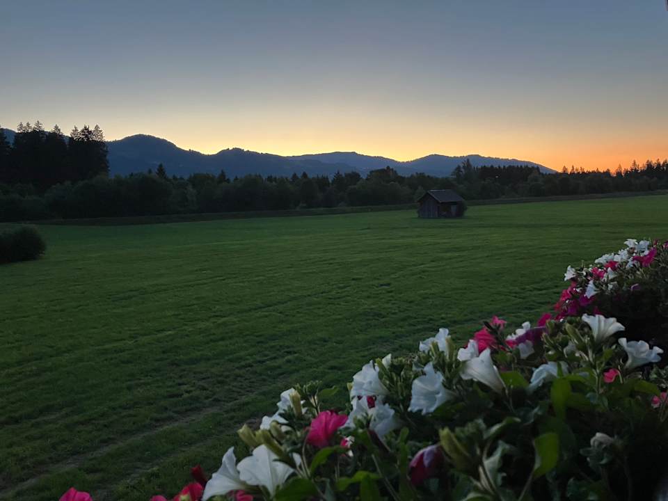 Ausblick Allgäulodge