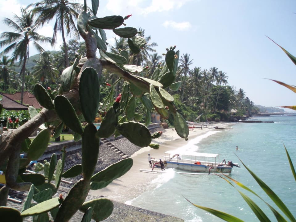 Ausblick aus dem Restaurant Ramayana Candidasa