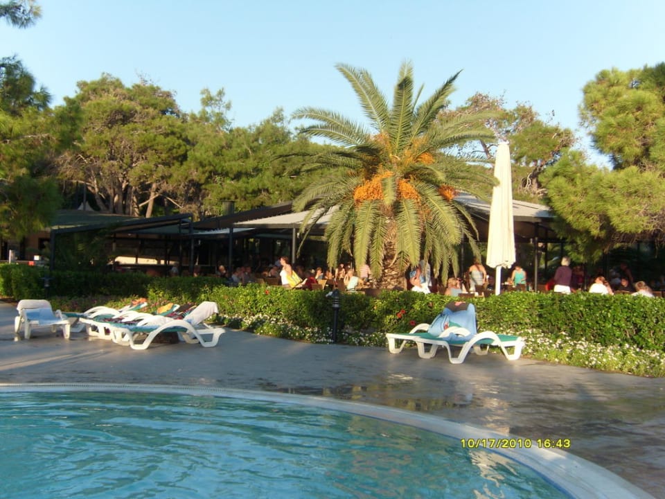 Snack-Bar am Pool  Turquoise Hotel