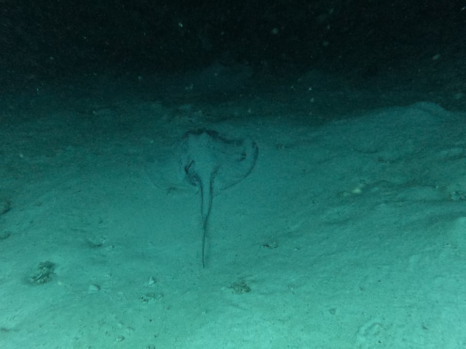 Sport & Freizeit NH Collection Maldives Reethi Resort