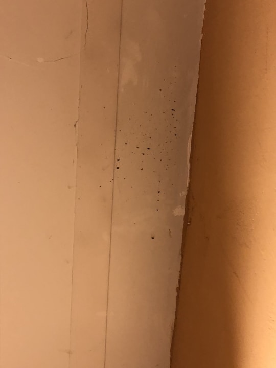 Zimmer Center Parcs Park Nordseeküste