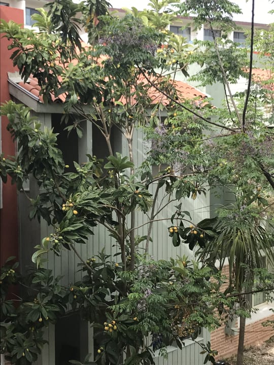 Außenansicht Megasaray Club Belek