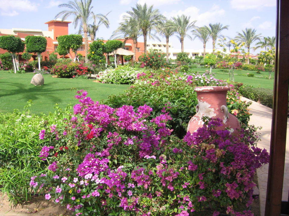 Ogród Coral Sea Holiday Village