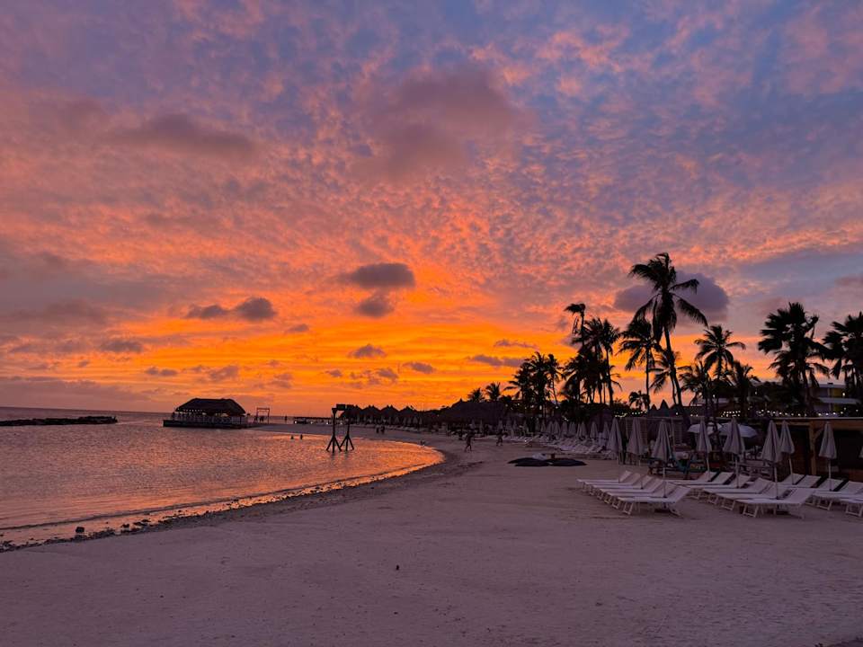 Strand The Rif At Mangrove Beach Corendon Curacao All-Inclusive, Curio by Hilton