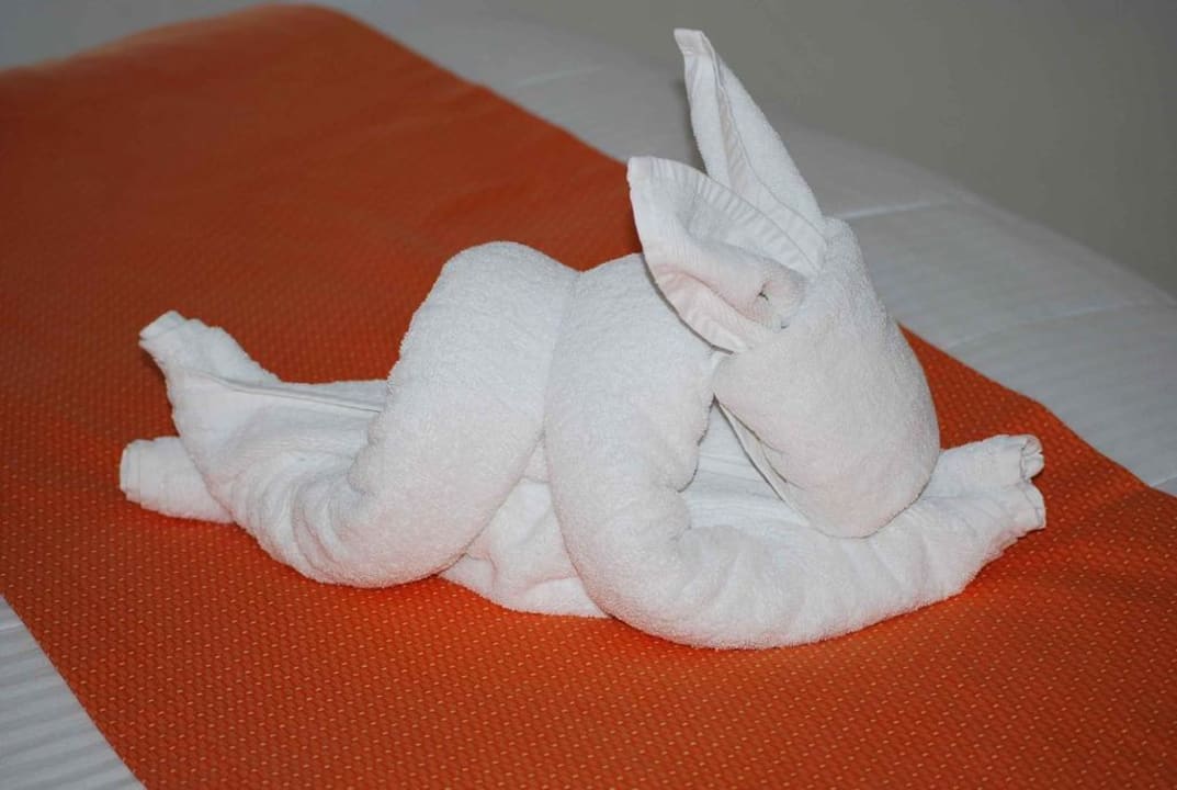 Handtuchhase Viva Azteca by Wyndham - All Inclusive Resort