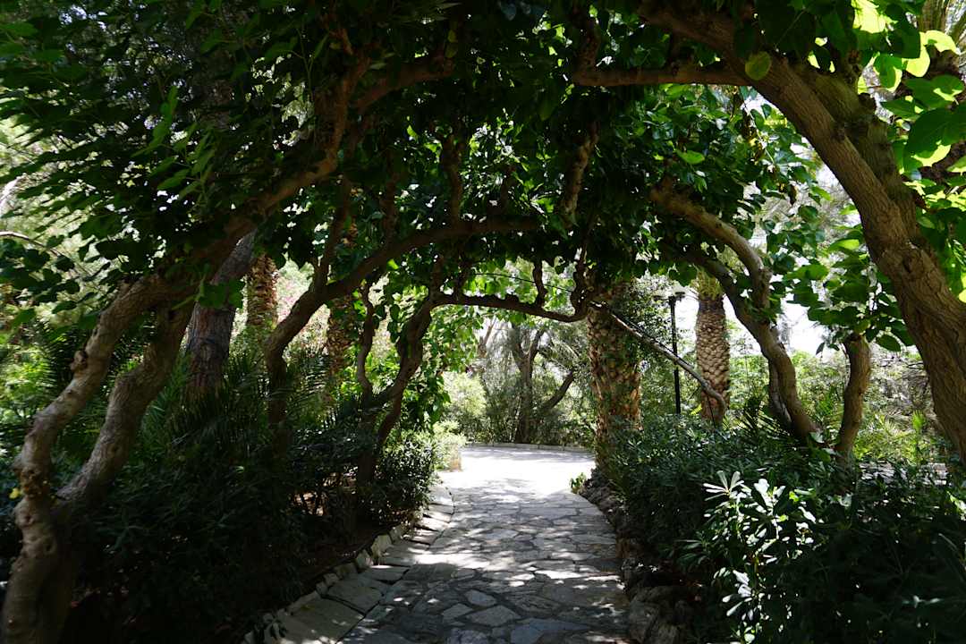 Gartenanlage Apollonia Beach Resort & Spa