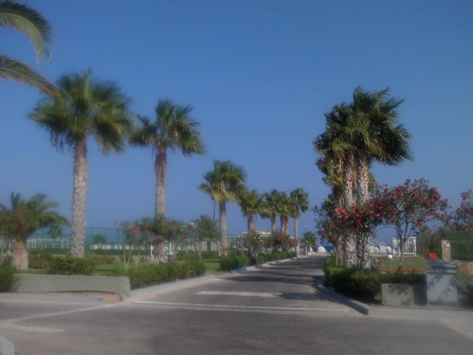 Weg zum Strand Kipriotis Village Resort