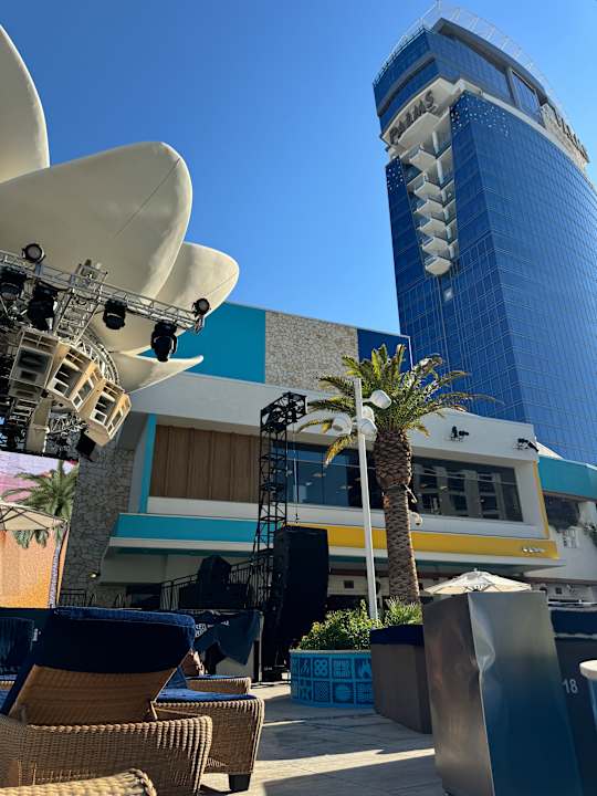 Pool Hotel The Palms Casino Resort