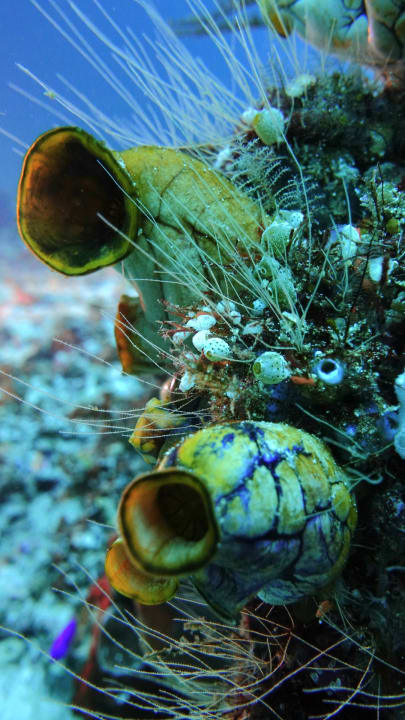 Sonstiges Agusta Eco Resort