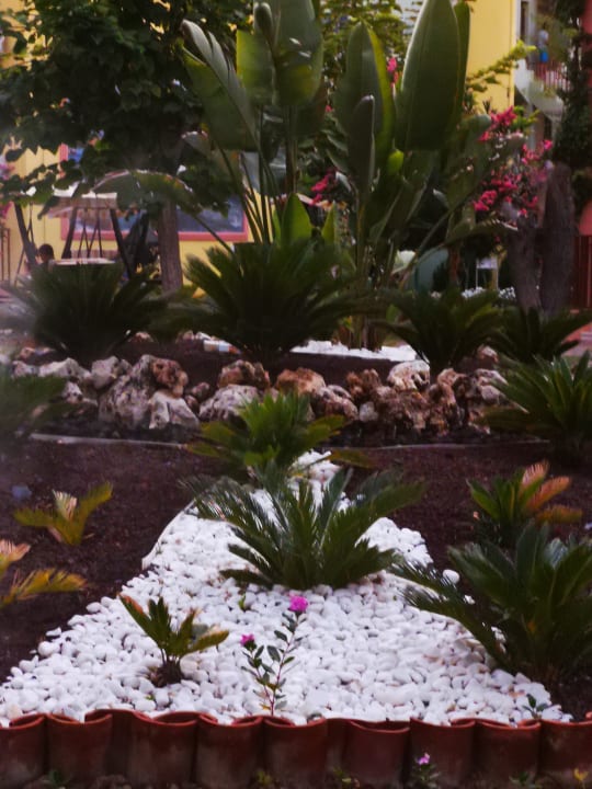 Gartenanlage VONRESORT Golden Beach