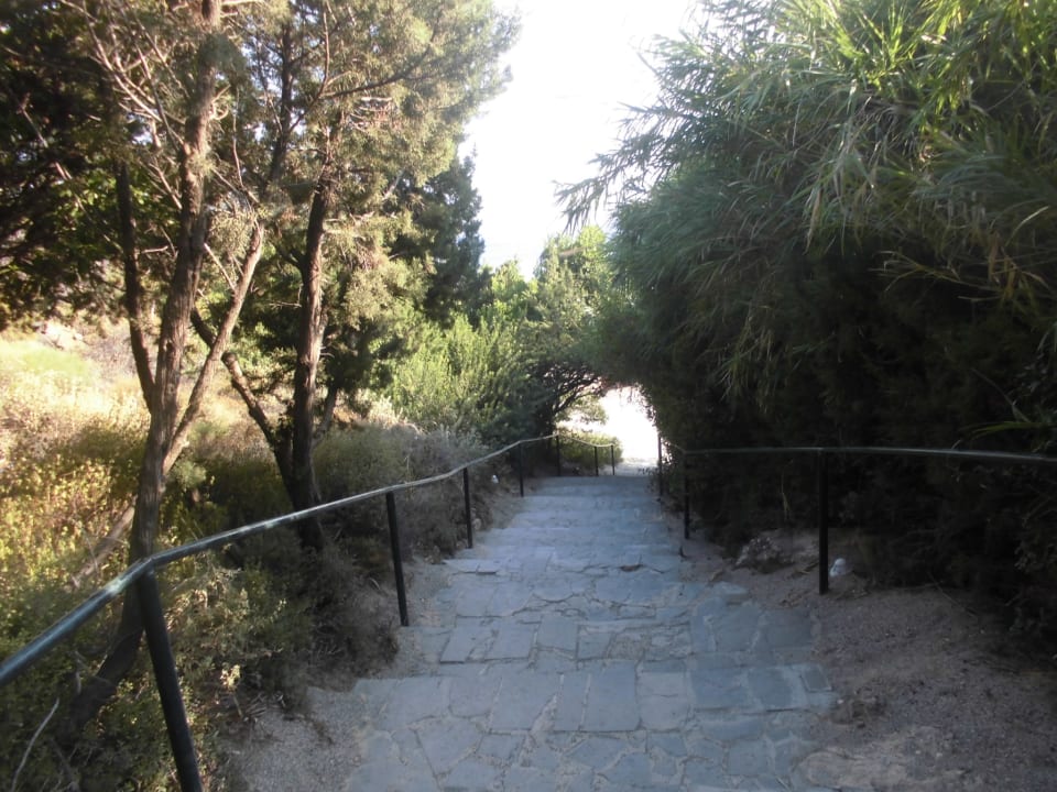 Sonstiges Rodos Princess Beach Hotel & Spa