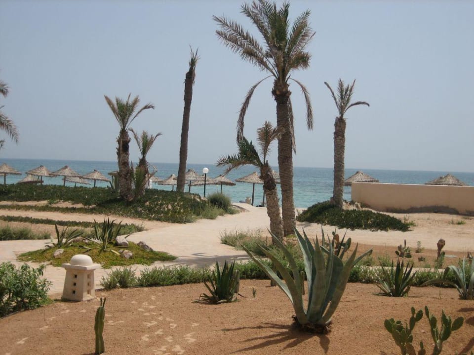 Blick aus unserem Zimmer Zita Beach Resort