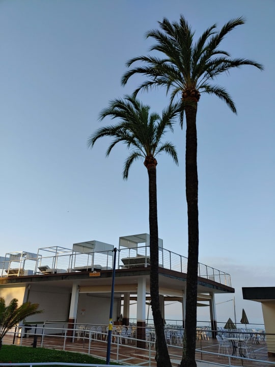 Ausblick Globales Playa Estepona