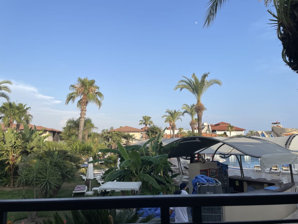 Ausblick TUI BLUE Palm Garden