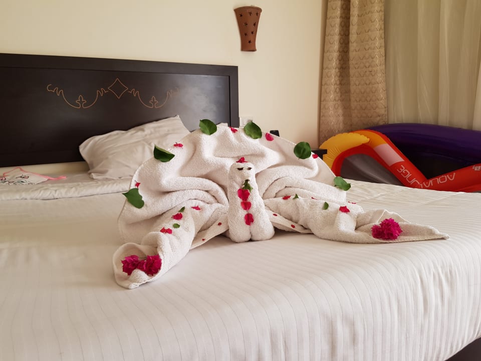 Zimmer Three Corners Sea Beach Resort