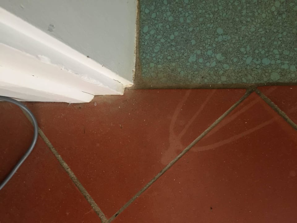 Zimmer Hotel la Cocoteraie