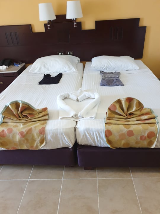 Zimmer Coral Sun Beach