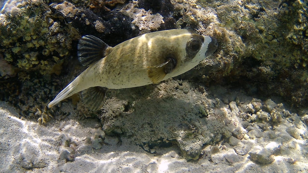 Sport & Freizeit Gemma Resort