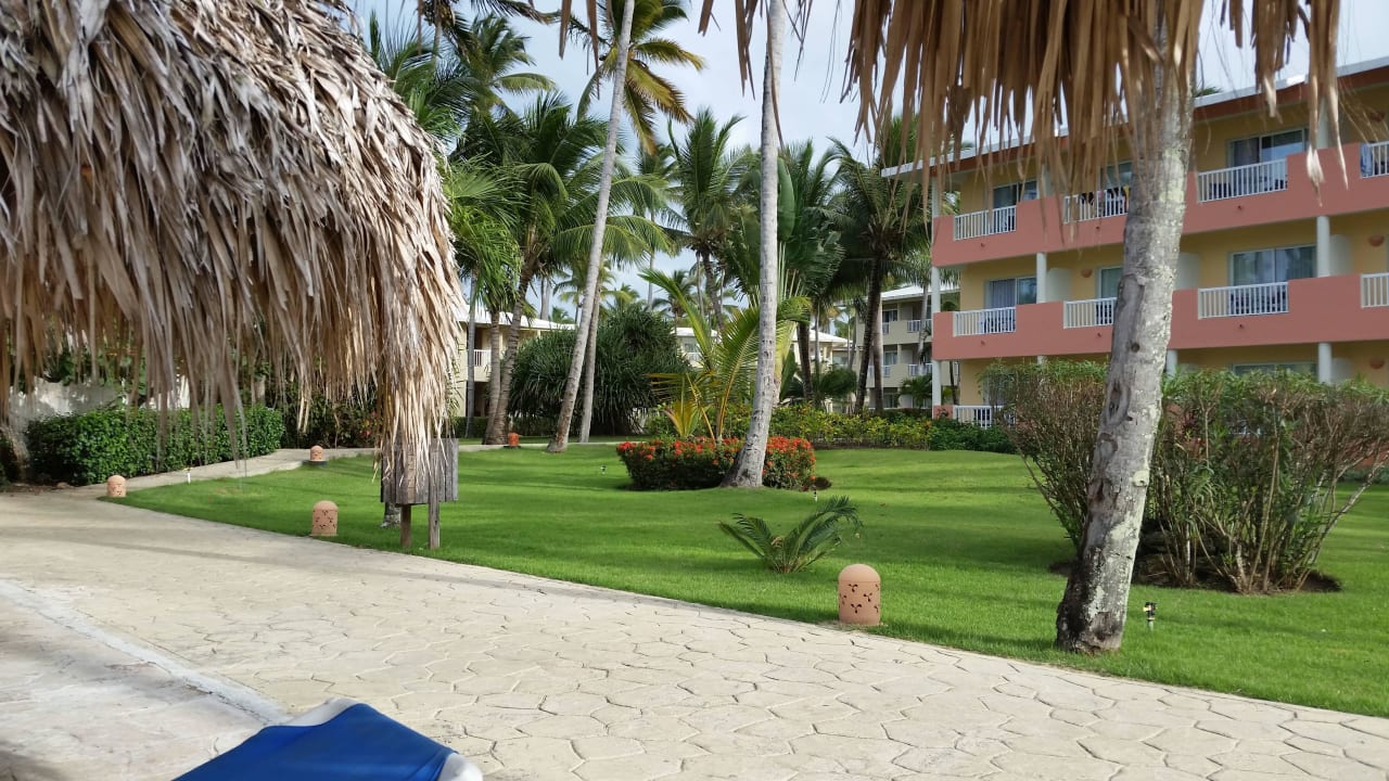 Aussicht von der Liege aus Grand Sirenis Punta Cana Resort & Aquagames
