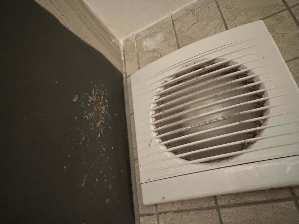 Zimmer Arycanda Kirman Premium