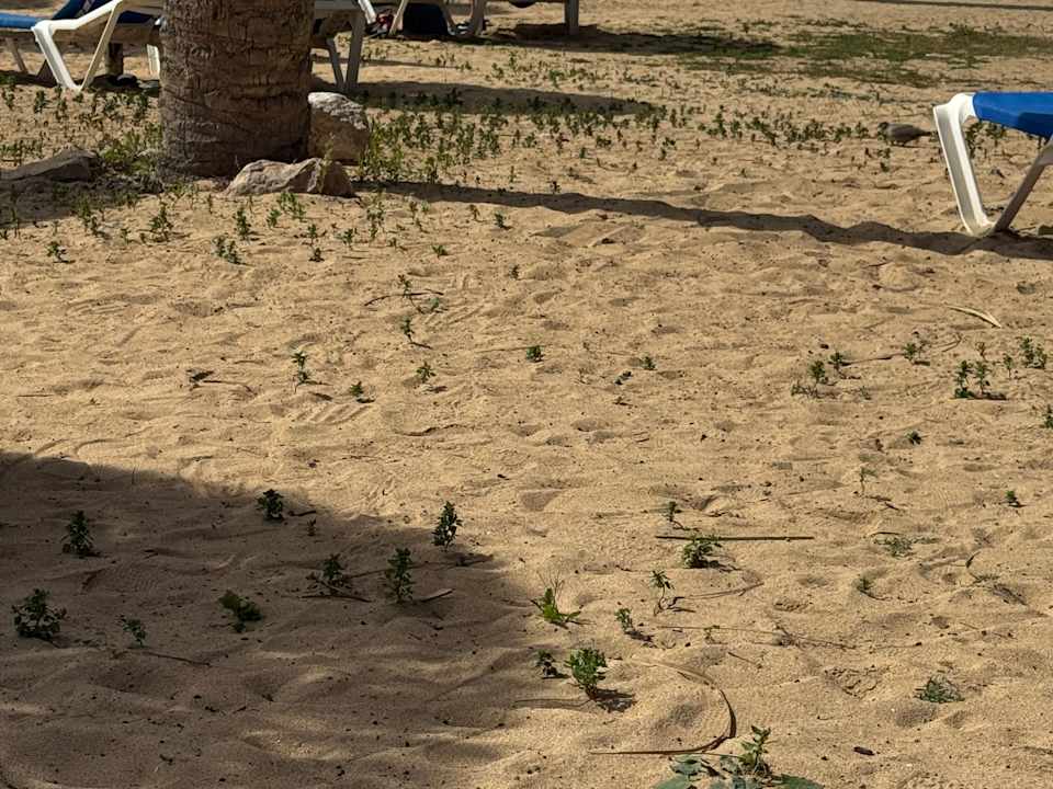 Strand SBH Costa Calma Beach Resort