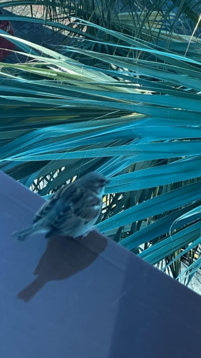 Sonstiges Gardenia Hotel