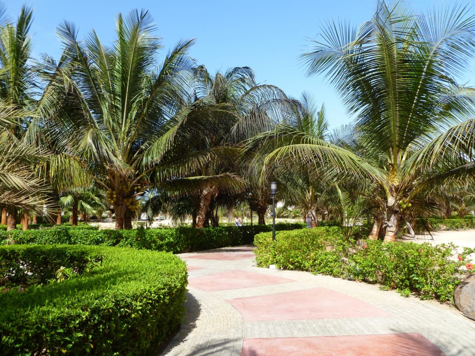 Gepflegte Anlage Hotel Riu Karamboa