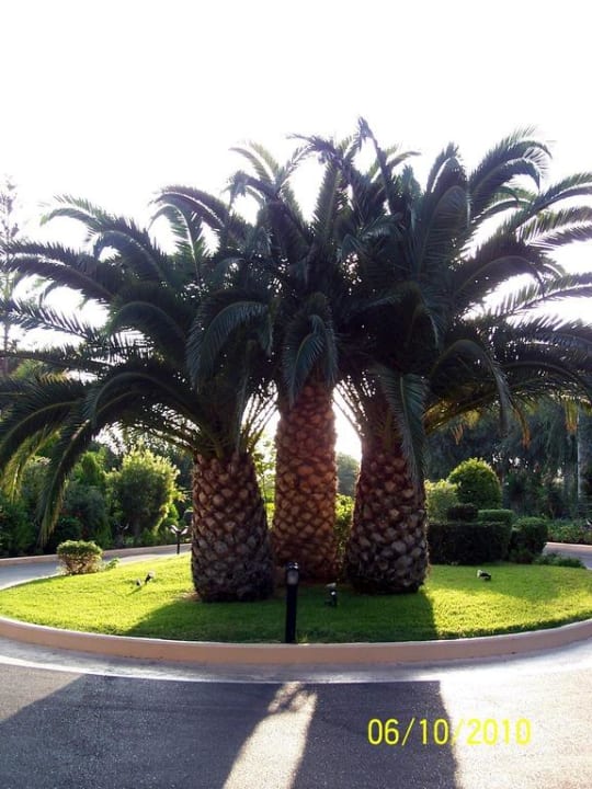 Gartenanlage Anissa Beach & Village