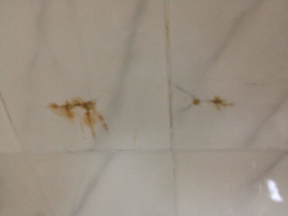 Bad/Dusche Hotel Ibiza Playa