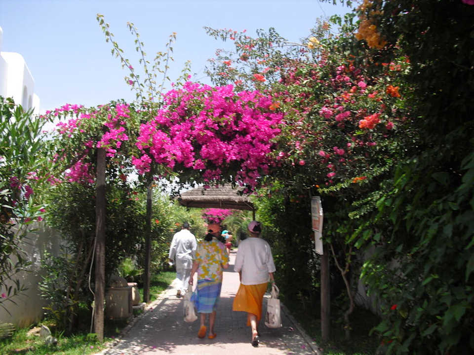 Weg zum Strand Hotel Nesrine
