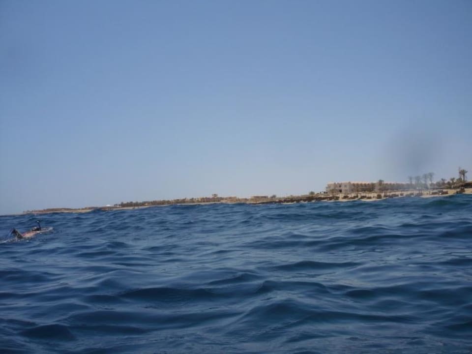 Tolle Schnochelverhältnisse! Three Corners Sea Beach Resort