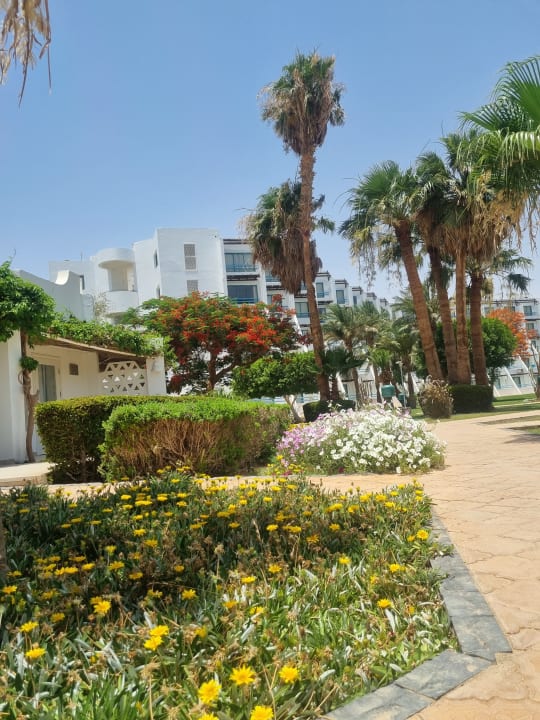 Gartenanlage Shams Safaga Resort
