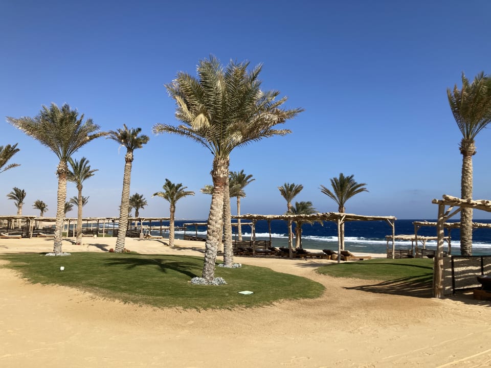 Strand Steigenberger Resort Alaya Marsa Alam - Red Sea - Adults only