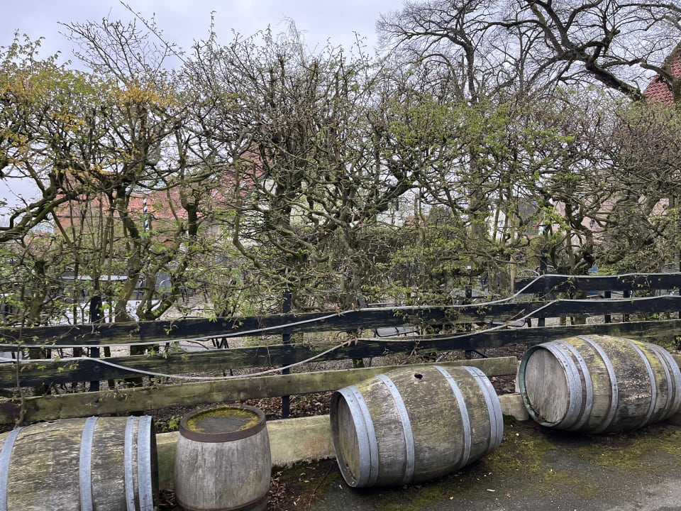 Gartenanlage Landhotel Lechstedter Obstweinschänke