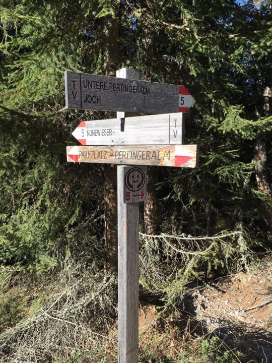 Wanderung zur Pertingeralm vom Hotel organisiert Hotel Winkler